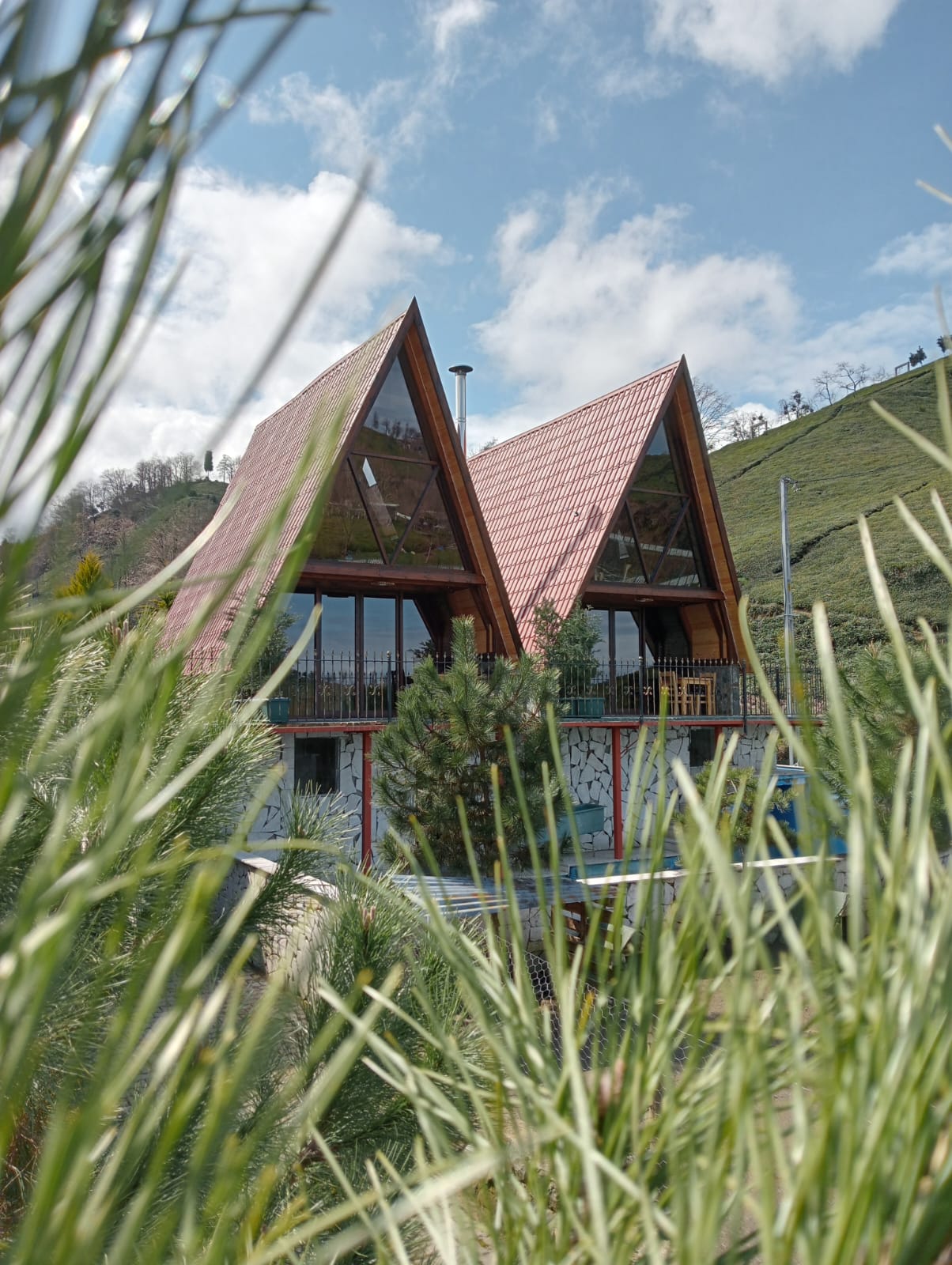 Deluxe Bungalov